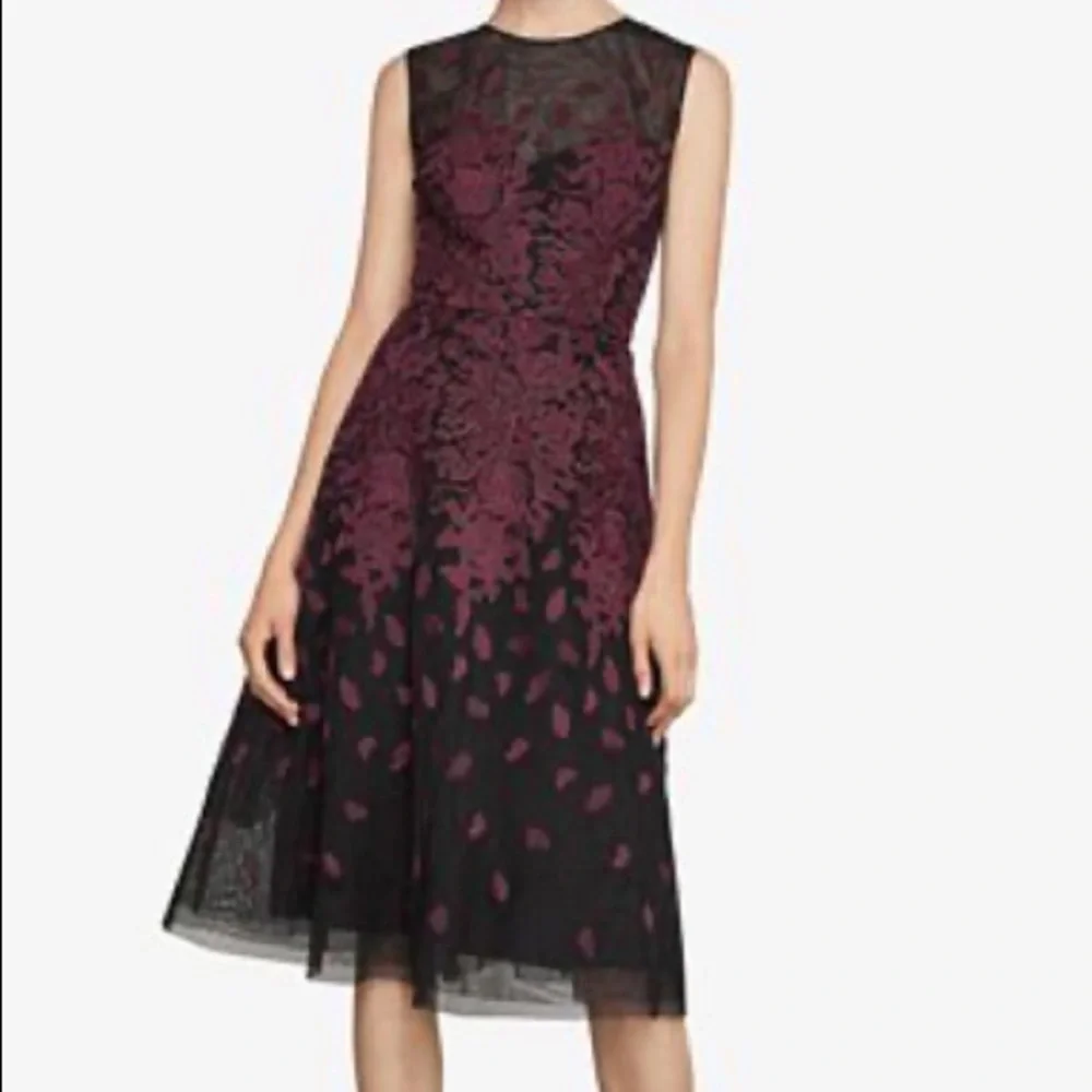ASO BCBG dress cocktail wedding guest tulle holiday embroidery 4 new $398